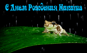 Открытки с днем рождения Никите (70 картинок)